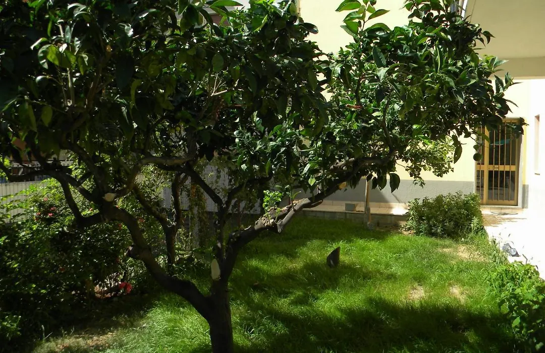 B&B Il Giardino Diamante-1