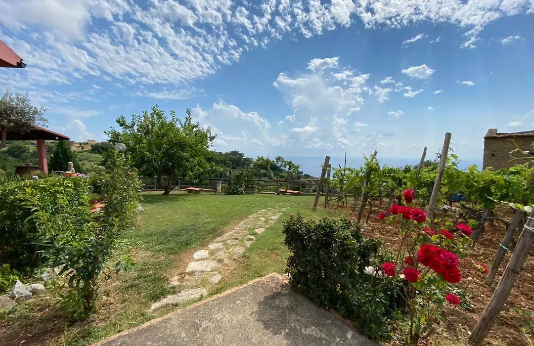 B&B la Sirenetta-1