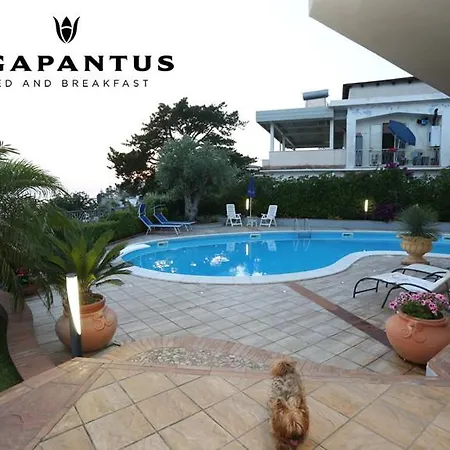 Agapantus Bed & Breakfast-3